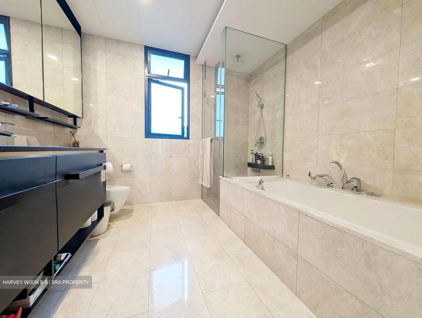 Park Colonial (D13), Condominium #632509631